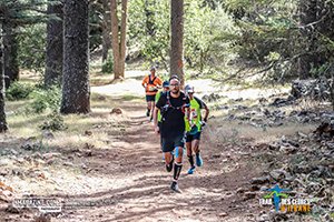 Trail Des Cèdres 2022 (Edition 13)